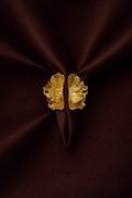 Gilded Petal Statement Ring
