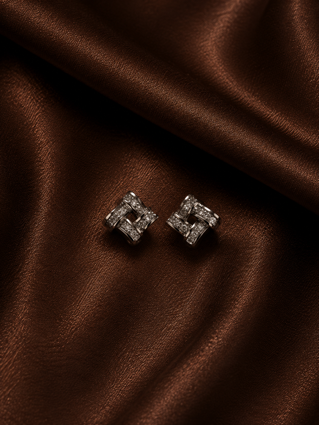Noir Éclat Earrings